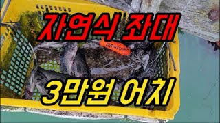 [갑프로] 자연식 좌대 3만원에 우럭 광어 숭어 잡아볼까