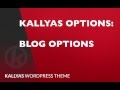 Blog Options in Kallyas options ( Kallyas WordPress theme v4.0  )