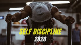 SELF DISCIPLINE 2020 l Best Motivational Speech Video (Featuring Will Smith)