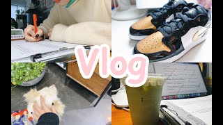 【雪笙】vlog#169｜搬砖日记｜社工日常｜摸鱼的一周｜健身房｜瑞幸｜咖啡续命｜购物分享｜新房装修进行中