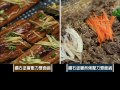 happycall 鑽石雙面鍋 料理菜色 03