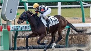 2歳未勝利　ダ1800m (右)　マッスルバック　牡2　56.0　田中勝春　2023.12.28　　出走馬：サンカルミア、ダイゴリュウジン、セイウンマカロン、カラーオブジアース、ウィウィルウィン他