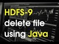 How to delete Hdfs File using Java API?- rm command