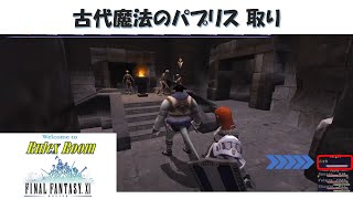 「FF11」ソロで 限界への挑戦 古代魔法のパプリス 取り