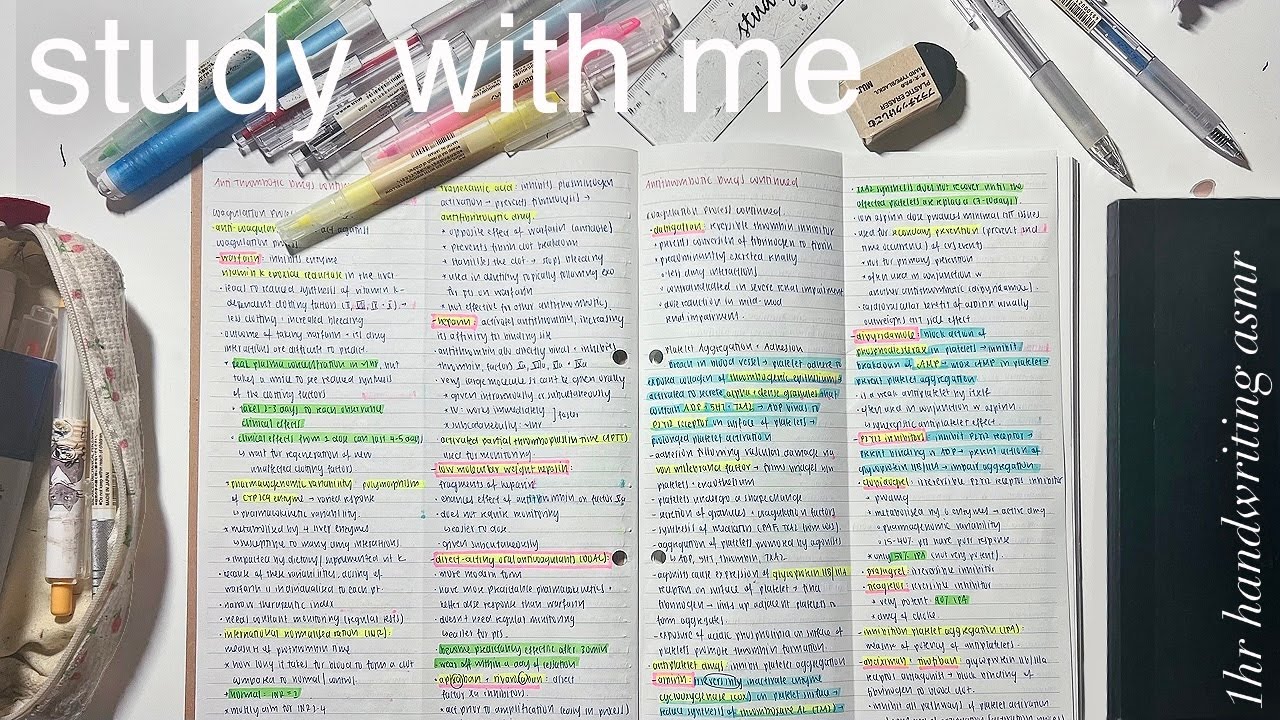 Study With Me рџ рџ ћ 1 Hour Real Time Handwriting Notes рџџ Real Sound