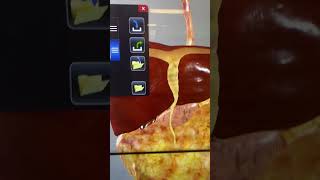 Anatomage Table: How to Use Presets