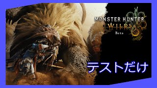 【MHWilds Steam版】環境テストとキャラクリのみ【おかえりナサイ】