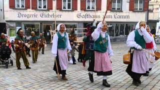 Strassenfasnet der Narrenzunft Gole 2015 in Riedlingen 1. Video