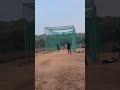 🏏CRICKET PRACTICE