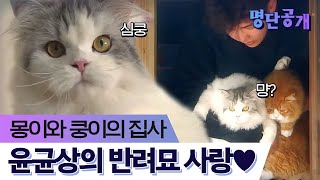 언제나 냥이 집사 모드 ON!😻 윤균상의 반려묘 사랑♥은 어느정도?ㅣtvN 명단공개2016