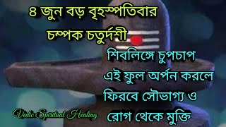 ৪ জুন শিবলিঙ্গে চুপচাপ এই ফুল অর্পন করলে ফিরবে সৌভাগ্য ও রোগ থেকে মুক্তি । Vedic Spiritual Healing