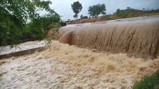 Heavily flows jayamangalai నది in పయకట్ట in sreerangarajupalli