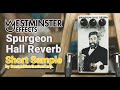 【Westminster Effects】 Spurgeon Hall Reverb - Short Sample