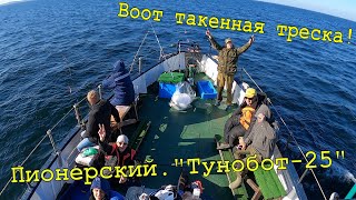 Морская рыбалка и море позитивных эмоций! Пионерский, \