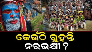 କେଉଁଠି ରୁହନ୍ତି ନରଭକ୍ଷୀ | Cannibal Still Alive | Cannibal Tribal | Odisha sambad