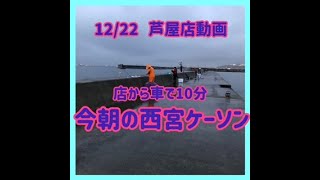 12/22動画　店から車で10分　今朝の西宮ケーソンと西宮公園前　フィッシングマックス芦屋店