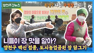 [주간뉴스] 양천구 백신 접종, 장 담그기 행사