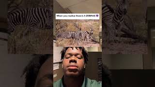 There’s 5 Zebras In This Photo?