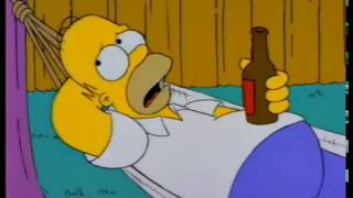 simpsons quotes - Homer \