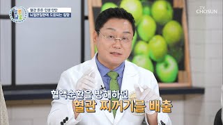 혈관 튼튼! 뇌졸중 예방에 도움 주는 약재👍🏻| [알콩달콩] 49회 | TV CHOSUN 20200924 방송