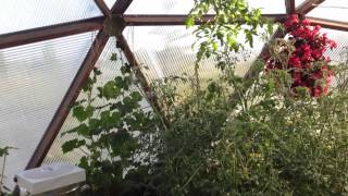 Daly Harvest 26ft Geodesic Dome in Black Diamond, Alberta June 4th 2013