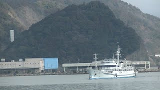 2月12日　実習船やいづの入港接岸（Arrival and docking of the training ship Yaizu）