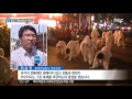 목포mbc 여수거북선 축제 개막 r