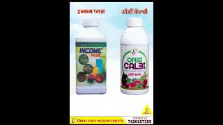 द्राक्ष बागेत 30 गुंठ्यांत 8 लाख रुपय इनकम होणार  द्राक्ष बागायतदार मालगाव Orbit Crop Micronutrients