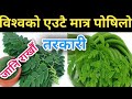 सजीवनको तरकारी र जुसको महत्वपुर्ण फाइदाहरू Benefits of Drumstick(Moringa leaf) || Nepali Health Tips