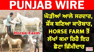 ਘੋੜੀਆਂ ਆਲੇ ਸਰਦਾਰ, ਸ਼ੌਂਕ ਬਣਿਆ ਕਾਰੋਬਾਰ, Horse Farm ਤੋਂ ਲੱਖਾਂ ਕਮਾ ਰਿਹੈ ਇਹ ਛੋਟਾ ਜ਼ਿੰਮੀਦਾਰ || SNE