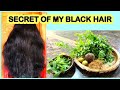 How to get rid of Grey Hair Naturally?/நரை முடிக்கு விடுதலை/Natural hair Dye /Tamil/Herbal Pack/