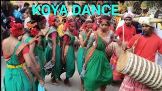 BHADRACHALAM KOMMA KOYA DANCE || AADIVASI TRIBAL DANCE