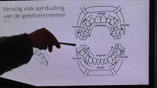 Hoorcollege tandheelkundige anatomie en pathologie, BBL bijeenkomst 2 (deel 2)