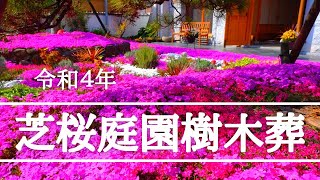 樹木葬【四季のガーデン】安心の永久納骨の永代供養墓│奈良県速成寺の芝桜庭園樹木葬