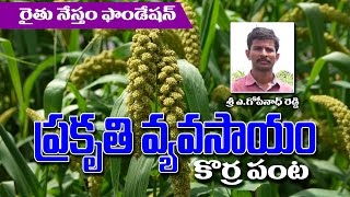 Success story of Korra Farmer Gopinath Reddy