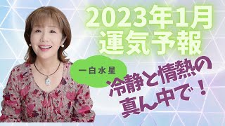 一白水星　冷静と情熱の真ん中で！　2023年1月の運気・運勢　見るだけで開運　オラクルカード×九星気学　占い