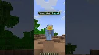 You must know these Minecraft plugins #minecraft #minecraftplugins #shorts