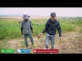 Quanglinhvlogs  Ngan Nở Số Lượng Lớn Tại Quang Linh Farm - Trang Trại Hiện Nay Như Thế Nào