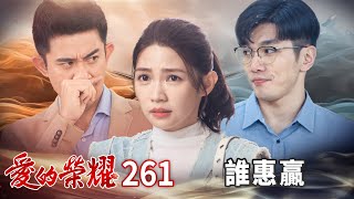 愛的榮耀 EP261 誰惠贏｜Glory of Love