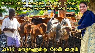 💯💥நாட்டு மாடுகளுக்கு Famous-ஆன மதகடிப்பட்டு மாட்டு சந்தை😍🔥| Media பட்டதாரி #cattle #மதகடிப்பட்டு