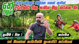 රටට ඩොලර් බිලියන ගනන් ආවත් තේ වලින් දරුවන්ට වන හානිය මිල කරන්න බෑ - තේ කියන්නේ සැබැවින්ම කරුමයක්