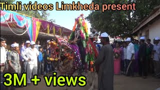 લીલો રૂમાલ પીળો રૂમાલ વીરા કઈ મળશે Limkheda timli(horse dance)