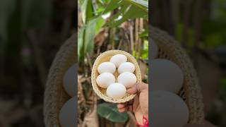 కోడి eggs 🤩తో ప్రయోగం ✅ #shorts #shortvideo #viralvideo #food #blogger JK