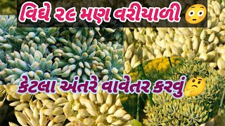 વરીયાળી ની તમામ પ્રકારની માહિતી 👍Variyali ni tamam mahiti