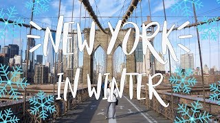 17 Awesome Things To Do in New York In Winter