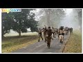 assam police training status video