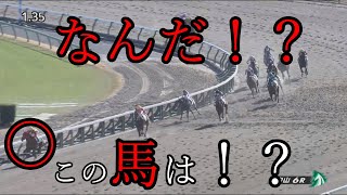 タヒチアンダンス　新馬戦