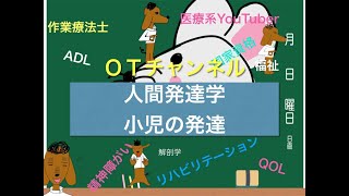 人間発達学（小児の発達）　7時間目「作業療法士（OT）の為の国家試験対策」