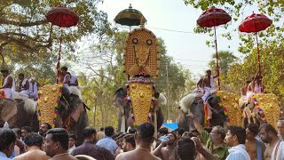 Mullakkal barani vela mahothsavam puthuppalli kesavan 2020