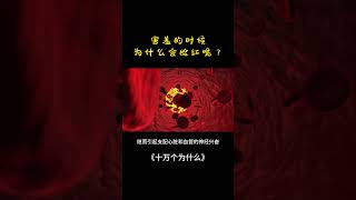 【十万个为什么】害羞的时候为什么会脸红呢？| 隔壁小哥_胡说八道 MR. HOO #热门